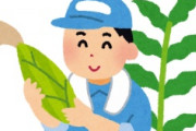 海外「日本ありがとう！」日本が米国の農家を救ってくれることに米国人が大喜び
