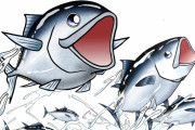 これが日本のマグロ工場だ　“絶滅しないなんてすげえな”　【海外の反応】