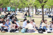 「入国前から詰む国」韓国旅行の“デジタル地獄”に外国人不満爆発…日本との違いが露呈