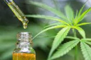 海外「日本が大麻を原料とした医薬品を解禁するようだ」