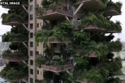 「都会のオアシス」をテーマに建設されたマンション、蚊の襲来で住民が相次いで退去。終末的光景に（中国）