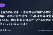 【海外の反応】『透明な夜に駆ける君と』8話、海外に説が立つ 「小春は本当は覚えている。翔を将来の痛みから守るために冷たくしているのでは」