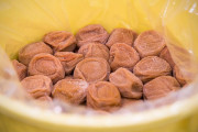 中国人「日本の『梅干し』とかいう凄まじい食品」　中国の反応