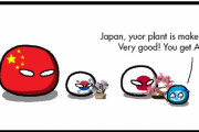 【中国】フラワー【ポーランドボール】