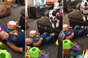 シャボン玉で遊ぶワンコに笑いが止まらない赤ちゃん。赤ちゃんと一緒に笑う家族にホッコリ♪