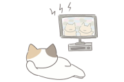 日本のネコが必死に猫のゲーム見てて可愛すぎる！【台湾人の反応】