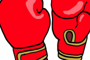 那須川天心 vs ジョナサン・ロドリゲス　“パンチが相手の顔面にテレポートした”　【海外の反応】