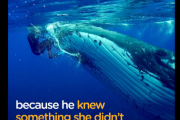 海の危険からクジラに救われたのは、「クジラ保護活動」の女性だった！ 海外の反応