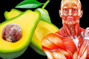 「これぞスーパーフルーツ！」毎日アボカドを食べたらどうなる？ 海外の反応