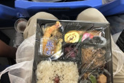 外国人「東京ドームで野球観戦した時に食べた弁当を見てくれ！」