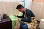 海外のうさぎ好きyoutuber「日本のうさぎカフェに行ってきた」日本のうさぎカフェに対する海外の反応