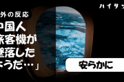 中国人「旅客機が墜落したようだ…」