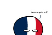 【フランス】ポーランドはpainだよ【ポーランドボール】