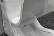 海外「これが究極のトイレらしいけど使いたくないな」