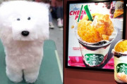 「日本に行くとエイリアンになった気分」日本の変な写真の数々 海外の反応