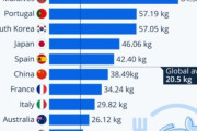 韓国人「海産物消費量世界ランキングがこちら‥」韓国が世界４位！世界１位の国は？　韓国の反応
