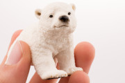すたコラさッサさのサ！ある日、森の中、クマさんに出遭った！「クマが執念あるってことは頭にインプットされた」海外の反応