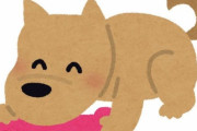「破壊された犬のおもちゃの中から、こんなメッセージが出てきた…」