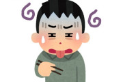 韓国人「現在KTXに乗車中、韓国も日本のように弁当をおいしくしてほしいんだが・・・」→「」