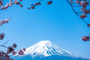 海外「日本政府の願望がバカらしくて笑っちゃうよ」