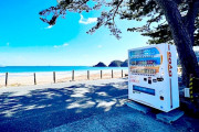 海外「どうして襲われないんだ？」日本人にとっては普通なのに、海外だとあり得ない光景が話題に！（海外の反応）
