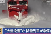 韓国人「韓国人が驚愕した『鉄オタ』の行動がこちらです…」→「社会的影響が凄いね」　韓国の反応