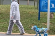 上海で愛犬を散歩させる様子に海外びっくり仰天！（海外の反応）