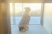 【海外】パジャマ姿のピットブル、家族を待ち続ける！保護施設での感動ストーリー