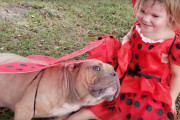 「ママ！あの犬には助けが必要なの」保健所にいた病気のピットブルを救った女の子に賞賛の声！
