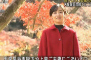 韓国人「今年で30歳になった日本の『佳子姫』の現在の姿がこちらです…」→「イ・ミヨンに似ている…（ﾌﾞﾙﾌﾞﾙ」韓国の反応