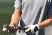 外国人「赤ちゃんワニを捕まえたぞ！」･後ろから物凄い勢いで迫ってくる母ワニ　←この後どうなったのか気になる！