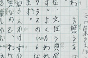 韓国人「日本の小学生が書いた文章レベルがこちら…」