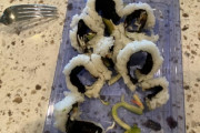 「日本だったら間違いなく重罪だな」外国人の寿司の食べ方が物議を醸す