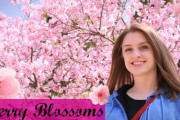 外国人がお花見を紹介してみた！やっぱり桜は風流を感じますね