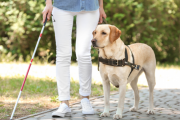 動物愛護家「盲導犬の利用は残酷。野原を自由に走り回らせず人間に服従させることのどこが道徳的なの？」