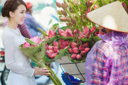 3日連続で新規感染者ゼロ、コロナ過で一際光るベトナムの偉業―海外の反応―