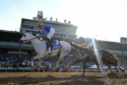 海外の反応　デルマソトガケ、米競馬の最高峰BCクラシックで2着！