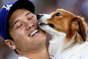 海外「もちろんだ！」大谷翔平の愛犬デコピンのWikipediaが作成されて海外大騒ぎ！（海外の反応）