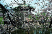 海外「日本旅行で喜んでまたやってみたい事のトップ３は何？」日本旅行でのお気に入りの思い出に対する海外の反応