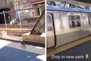 衝撃！電車が来る直前に2羽のハトが1羽のハトをホームから突き落とす！過激な行動に見物人絶叫！