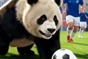 中国人「中国の有名サッカー評論家に対する日本人のコメントに納得」　中国人「ただの情報商法屋」「本来はサッカー協会がやるべきこと」