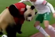 サッカーACLEグループステージ全日程が終了。Jリーグの3チームが上位独占。中国チームは・・　中国人「これが本来の立ち位置」「中国内で楽しくやってようぜ」