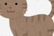 海外「猫好きにはたまらないね」猫と一緒に入場できる上海博物館のイベントが話題