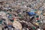 海外「先進国が紙ストローを使ったとしてもグアテマラの海岸はこうなっている」