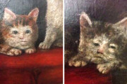 外国人「中世ヨーロッパの謎すぎる動物の絵を集めてみたｗｗｗｗ」