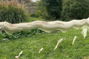 外国人「動物をパノラマ撮影したら面白すぎる写真になったｗｗｗｗ」Part2