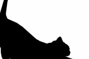 「素人にはオススメできない猫がいた…」とある保護施設の説明