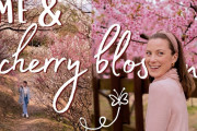 海外「なんてきれいなんだ！」梅と桜！日本の春の風景を綴った動画に驚き！