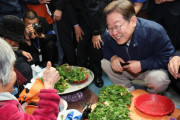 韓国民主党「大統領になれば刑事裁判停止にしてくれ」→国民の反応「犯罪者を守る国家を作るんすか？💢」