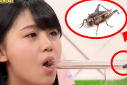 外国人「やっぱり日本人はイカれてやがる・・・」日本人のビックリ映像が外国人の度肝を抜いてしまう